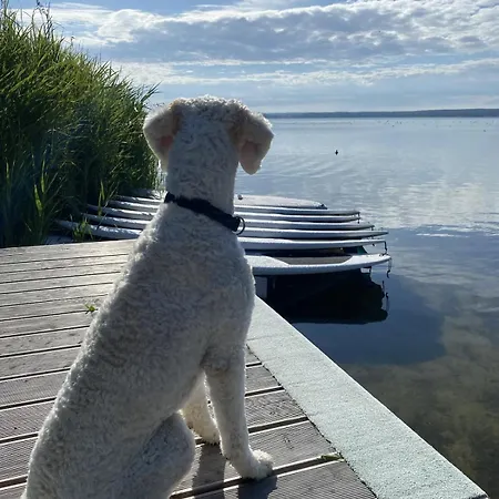 Seeblick * Plau am See